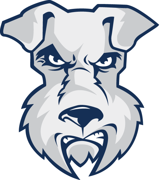 St. Francis Terriers 2001-2013 Alternate Logo iron on transfers for T-shirts